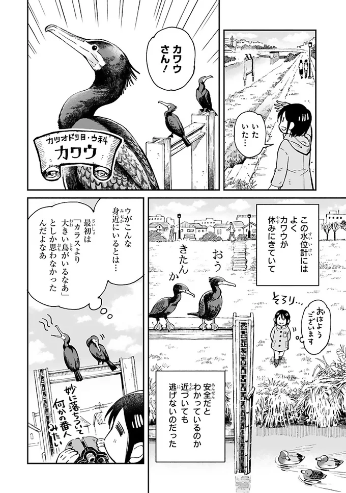 まいにち鳥びより 2-2.png