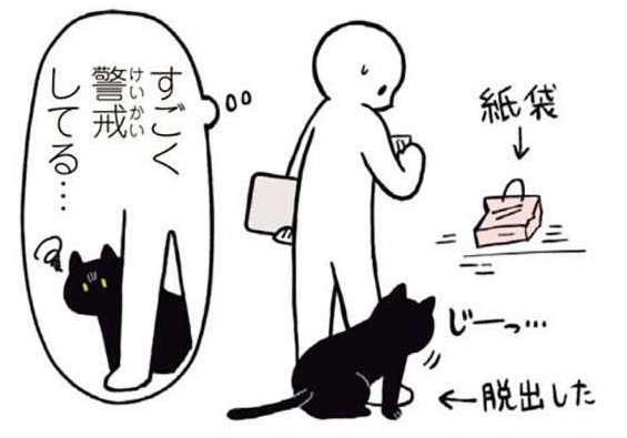 「ナアアア」猫は紙袋が好き...なはずだったのにウチの場合は／黒猫ろんと暮らしたら1