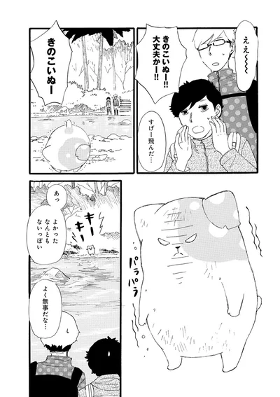『きのこいぬ』 13776644.webp