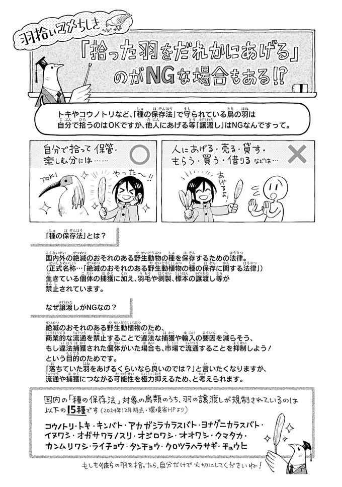 まいにち鳥びより 3-11.png