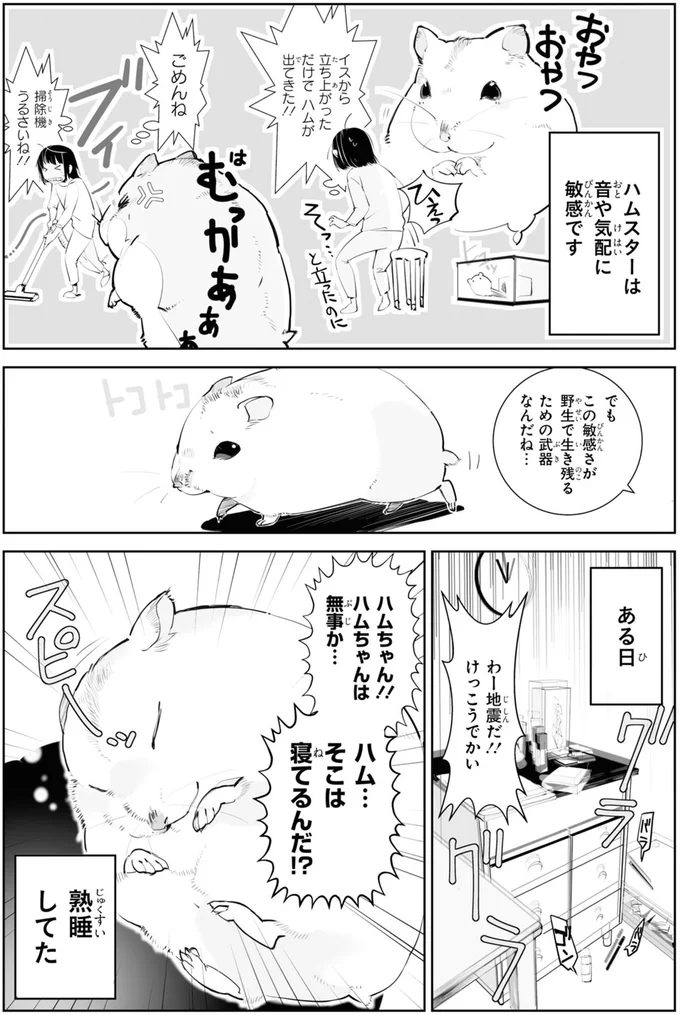 ぎゃああ...! 飼い主の胸に抱かれたハムスターが狙っていた「もの」は/はむはむづくし 18-01.png