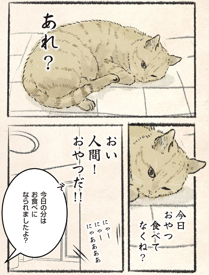 「今日おやつ食べてなくね？」訴える猫と飼い主の言い分／今日もネコ様の圧が強い 10-01.png
