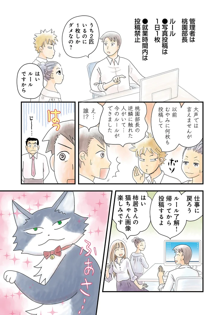 「ちゃんと報告したまえ」猫好き部長からの招待。会社は猫好きが多いようで／飼い猫がなつきません 02-05.png