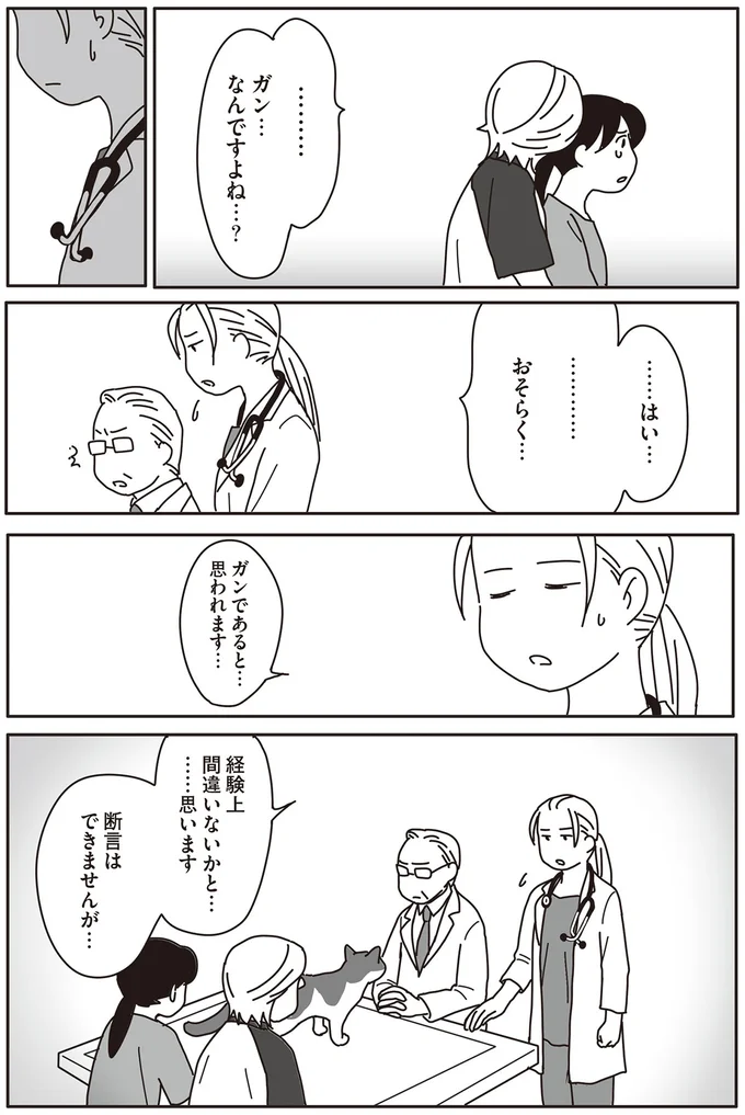 『世界一幸せな飼い主にしてくれた猫』 12-05.png