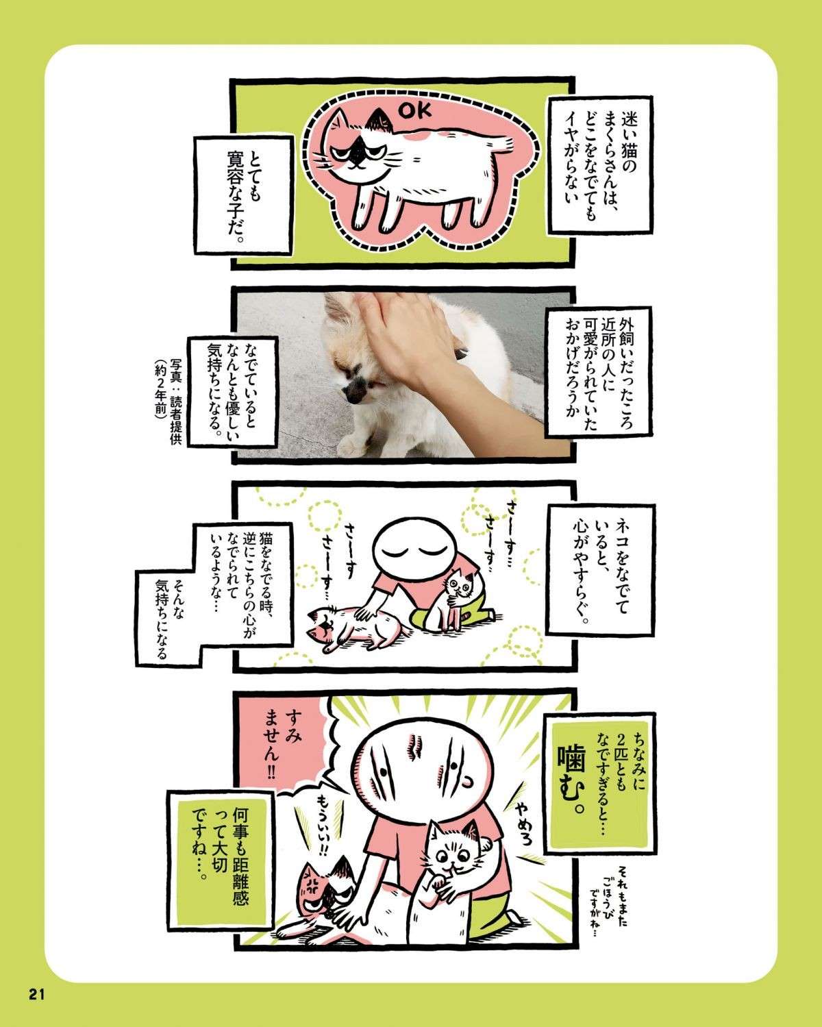 「んんん～？」保護した老猫は満身創痍。薬をあげる秘策にブチギレ!?／ねこおばあさんぼく 3.jpg