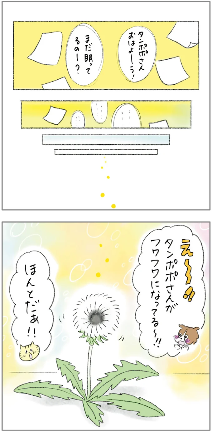 『ターとアグのしあわせ日和 元ノラ猫と元保護犬、ふたりは親友』 02-06.png