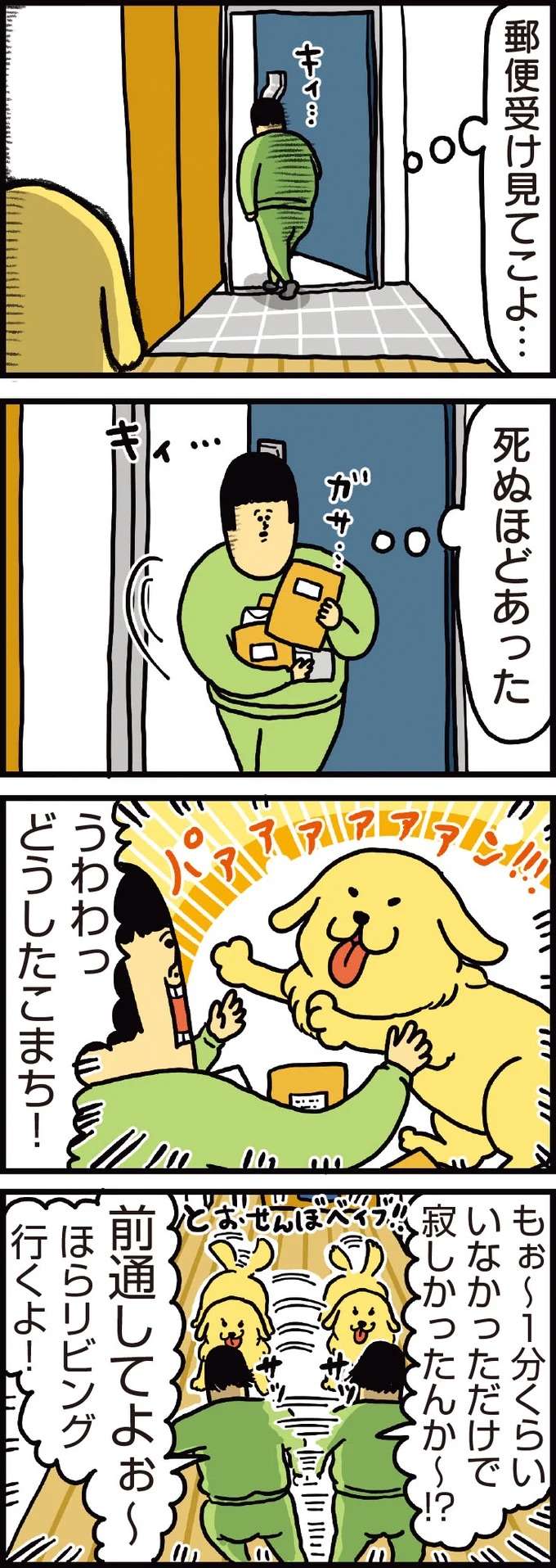 愛犬の「なんかやってんなぁこいつ」という表情。イタズラがバレたら...／まめきちまめこニートの日常 1 mameko3_1.jpeg