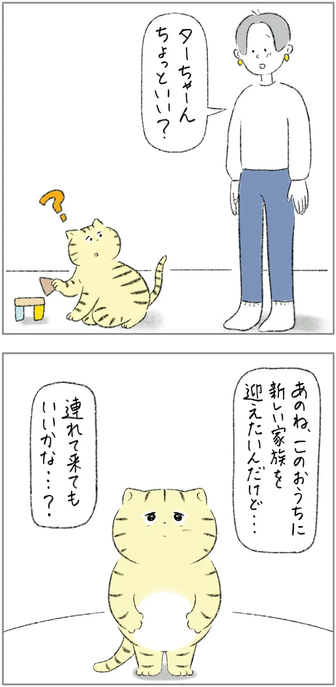 新入りの犬に振り回されてムカッ。なのに、先輩猫が受け入れた理由は...／元ノラ猫と元保護犬、ふたりは親友 08-01.png