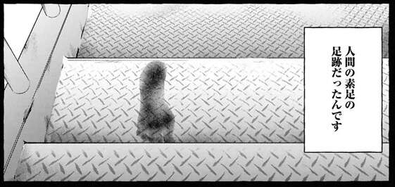 事故物件に住む女子大生。午前零時になると何者かが一段だけ階段を上がり...／事故物件探偵