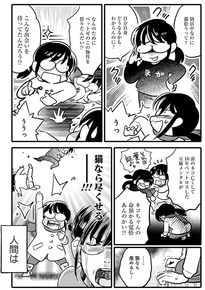 「外猫は短命」と聞いて...ベランダに居付いた猫を保護すると決意。マタタビでおびき寄せて／ブリちゃん日記 15791646.webp