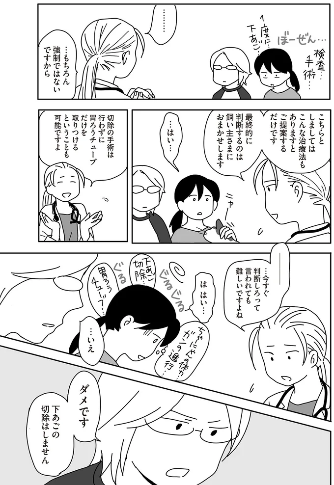 『世界一幸せな飼い主にしてくれた猫』 09-07.png