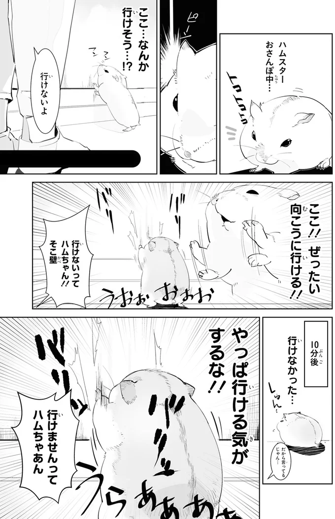 ハムスターが見つけた「くつろぐ場所」に困惑。いろいろ探索してそこ!?／はむはむづくし 11-01.png