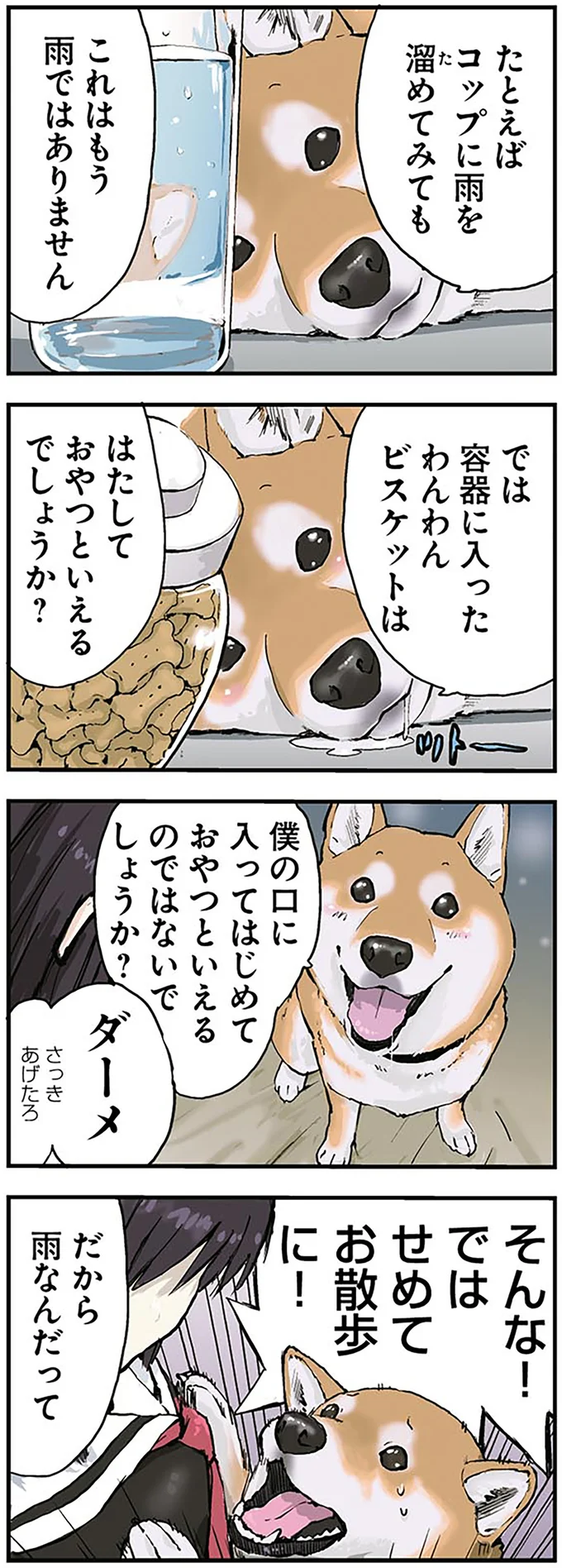 柴犬のおねだり作戦。「雨は降ってはじめて雨」...なんの話？ ／世界の終わりに柴犬と 3.png