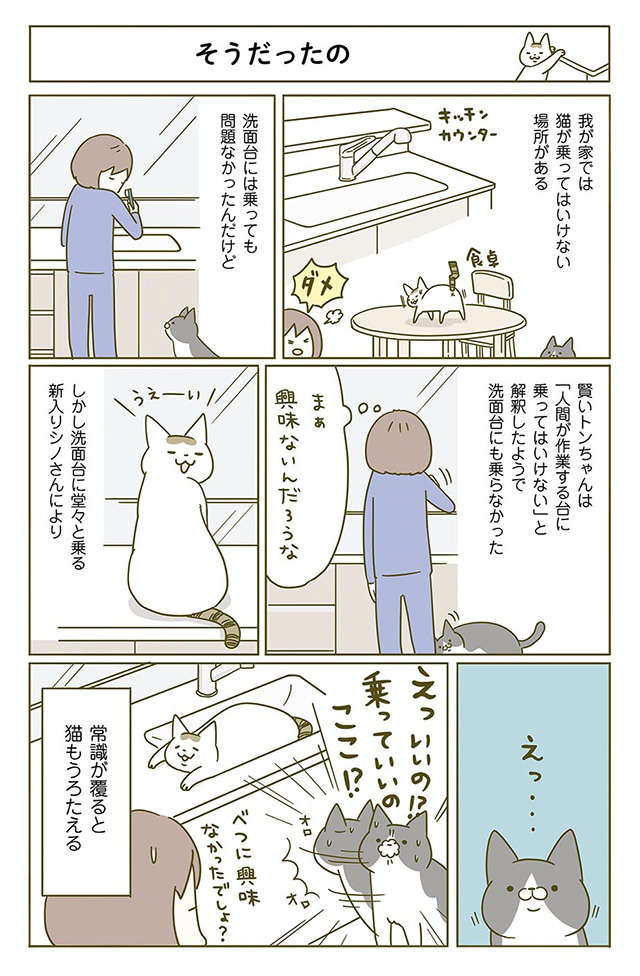 ギョッ！鏡を見るのが好きな猫たち。何を見てるのかと思ったら...／うちの猫がまた変なことしてる。2 1.jpg