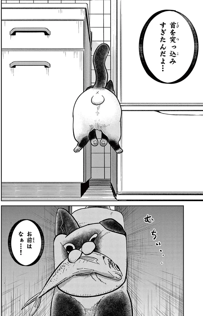 アジがきっかけで警察沙汰に!? 自由奔放な野良猫と元極道のドタバタ劇／オヤジとにゃん吉 16204499.webp