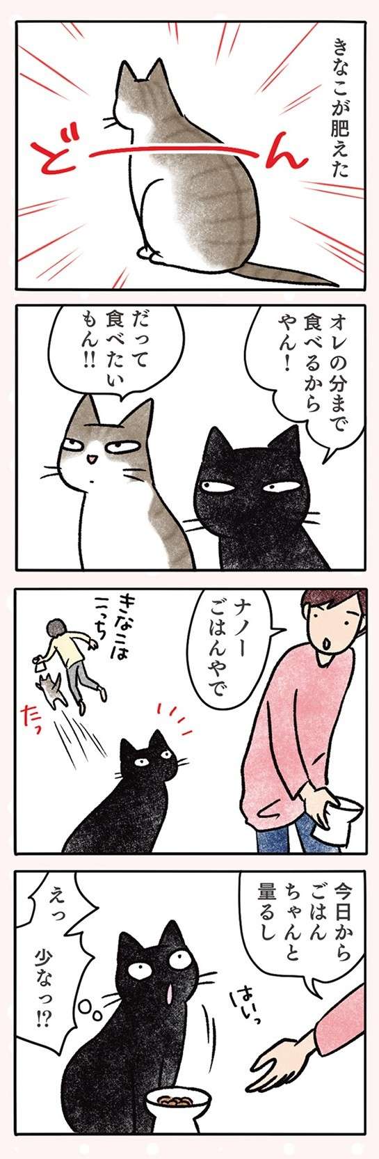 「なんでやろ」猫の食事。どうしても「こう」なるのは何故なのか／黒猫ナノとキジシロ猫きなこ kuroneko_nano8-5.jpg