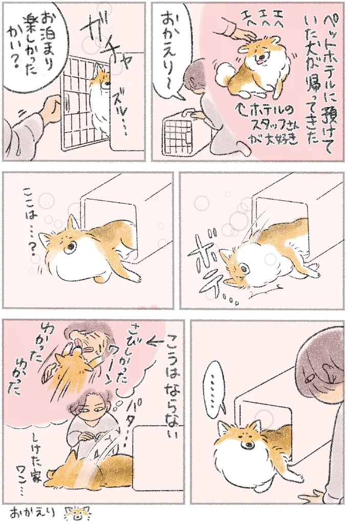 天才...？ 愛犬がお手、タッチ、ふせ...飼い主の指示から「選ぶ」のは？／犬を揉む 11.png