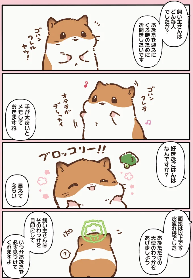 『ひまちゃんと天国の面接』 12.webp