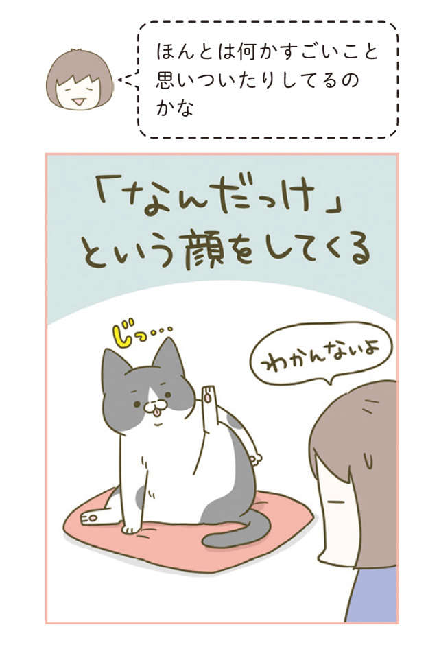 猫が毎回「初めて聞いた！」みたいな顔...飼い主が「注意」したことは？／うちの猫がまた変なことしてる。4 12.jpg