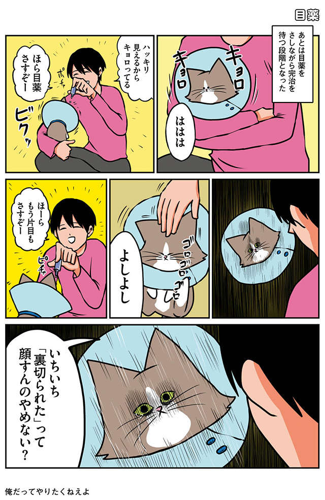 「思ったよりひどい」保護した子猫を病院へ。怪我ではないとのことだが...／鴻池剛と猫のぽんた ニャアアアン! 2 14.jpg