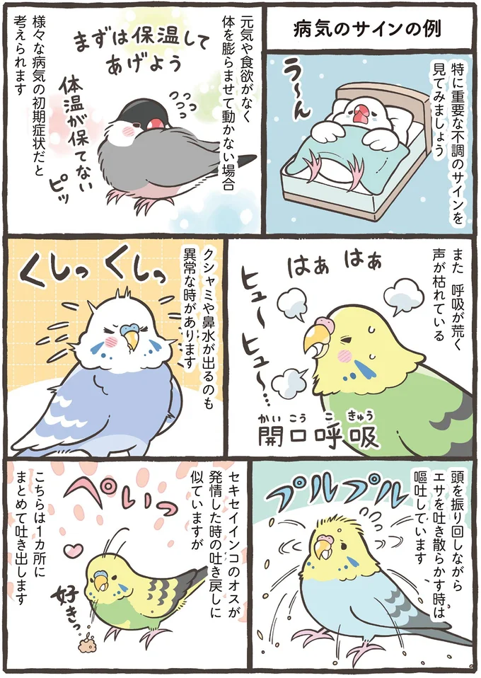 『トリ扱い説明書』 122.png