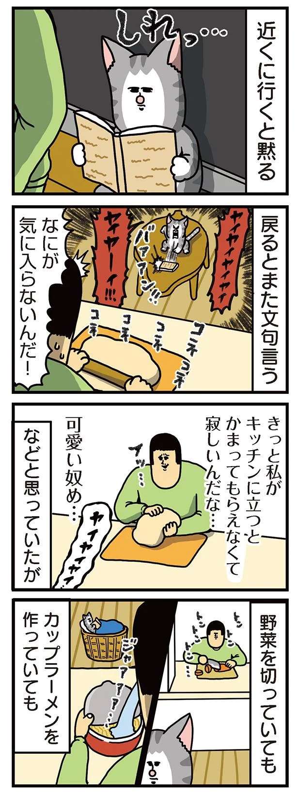 「ヤイヤイヤイ」と猫。なんでこの時だけ文句があるのか...？／まめきちまめこニートの日常 3 mameko27_2.jpeg