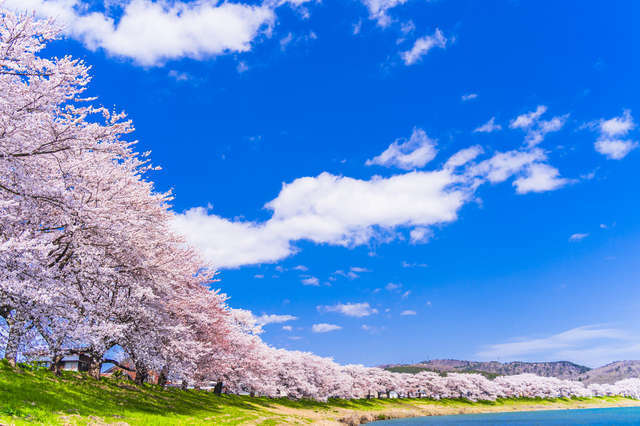  【らんまん】神木隆之介の芝居にゾクゾク...様々なバトンタッチが描かれた希望溢れる「前半の最終回」 a9e5331066f17b991ea325ba5a40a386764034d8.jpg