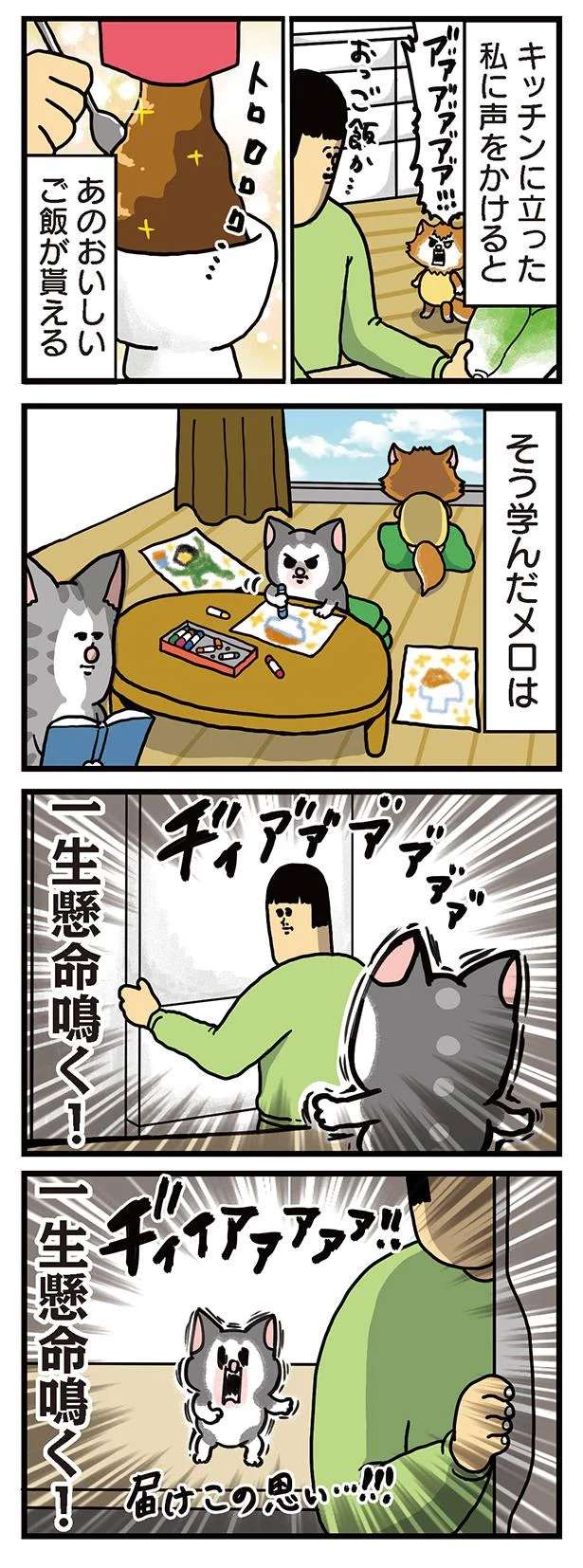 食いしん坊猫の憧れごはん。凝視する姿が...怖いよ！／まめきちまめこニートの日常 3 mameko22_2.jpeg
