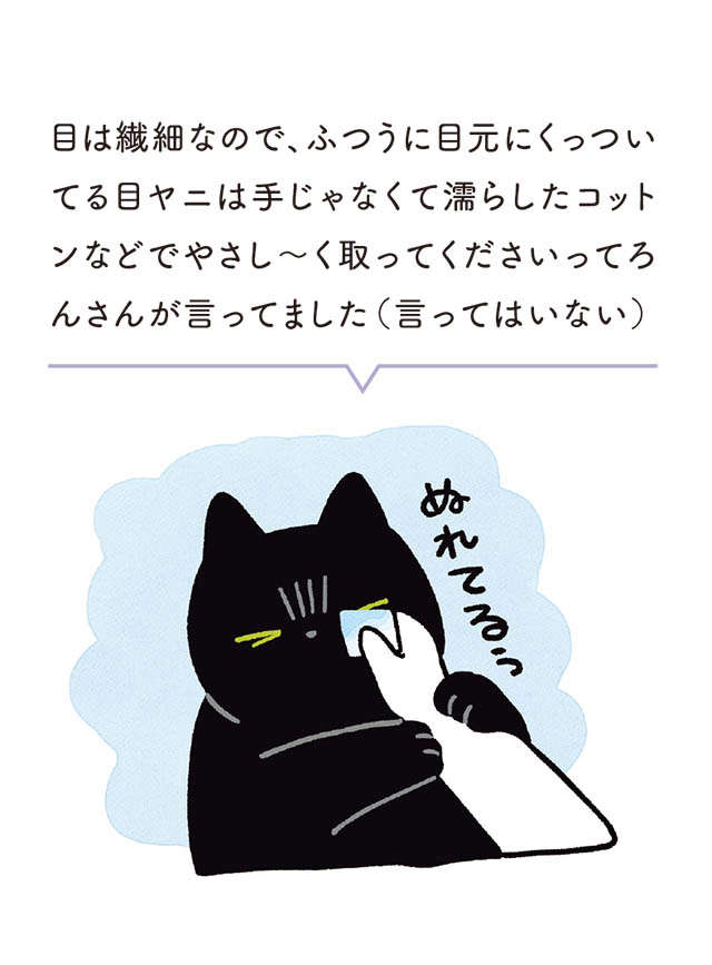 「猫に吸われる」こともある。飼い主のことが好きすぎる猫の行動／黒猫ろんと暮らしたら 23.jpg