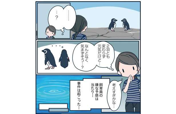 飼育員は見た!! 「帰宅すると目の前で...」恋の修羅場か!? ペンギンたちの愛の記録マンガ 31流血！すみだ水族館で恋の修羅場「下町ペンギン物語」第三話5.jpg