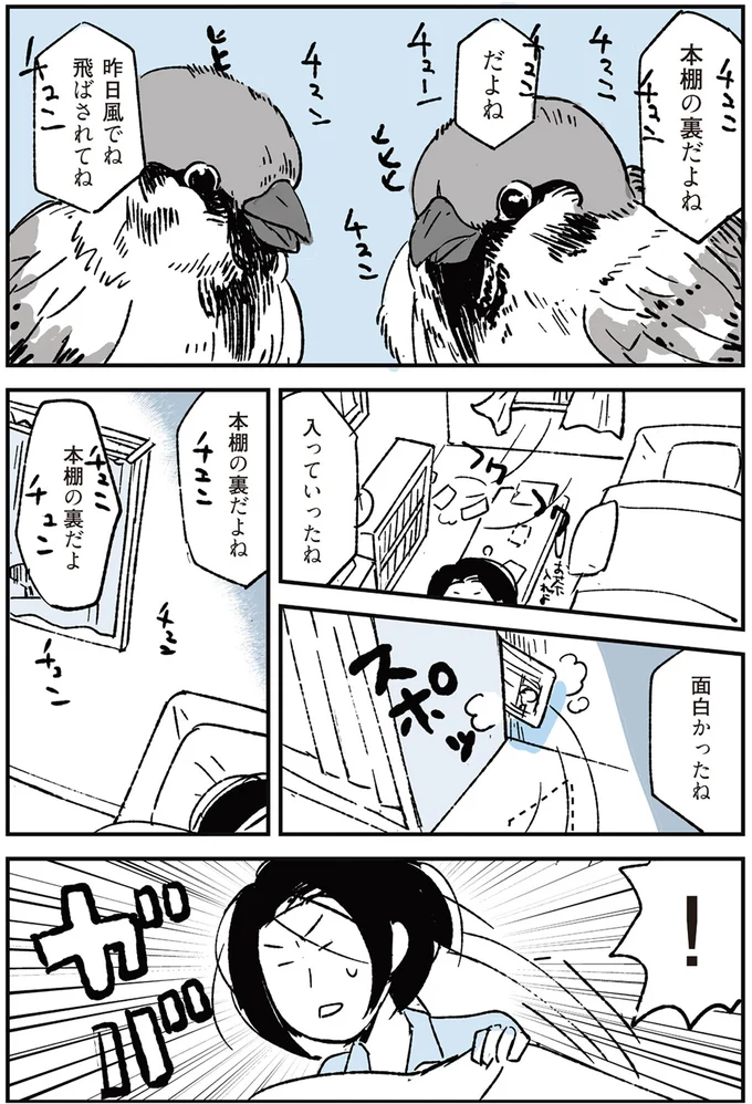 『いつもきみのそばに 動物たちが残した25個の不思議なメッセージ』 05-03.png