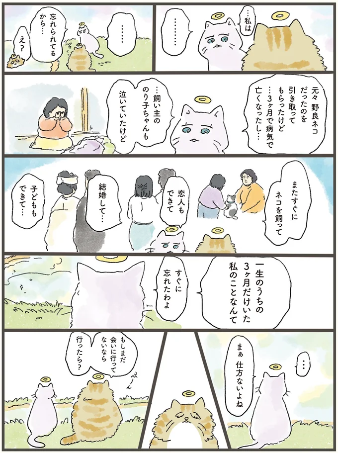 『天国での暮らしはどうですか』 03-02.png
