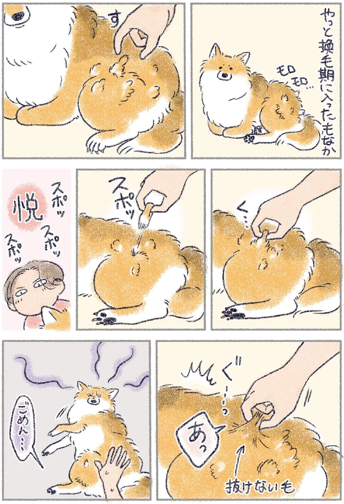 犬と寝る飼い主。ベッドですり寄ってくる姿が愛しすぎる！／犬を揉む 13.png