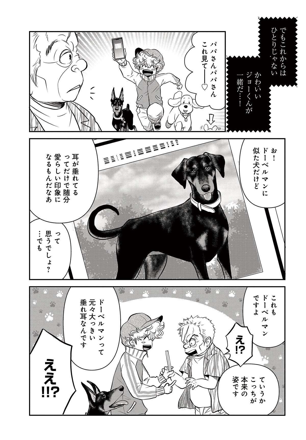 「周囲をビビらせて黙らせたかった」犬の飼い主。ドーベルマン本来の性質と姿を知って...／DOG SIGNAL 31.jpg