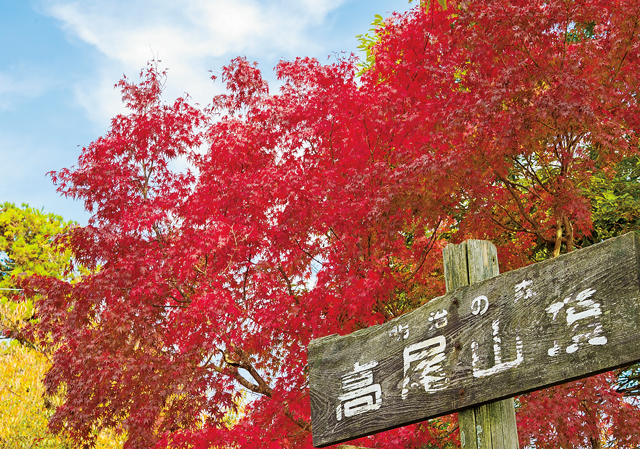 紅葉の季節！　秋の低山ハイキングの持ち物＆服装は何が正解？