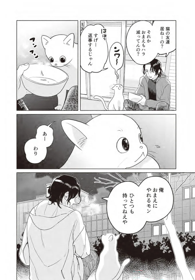 『借金1000万作曲家の人生を変えてくれた猫の話』 14.webp