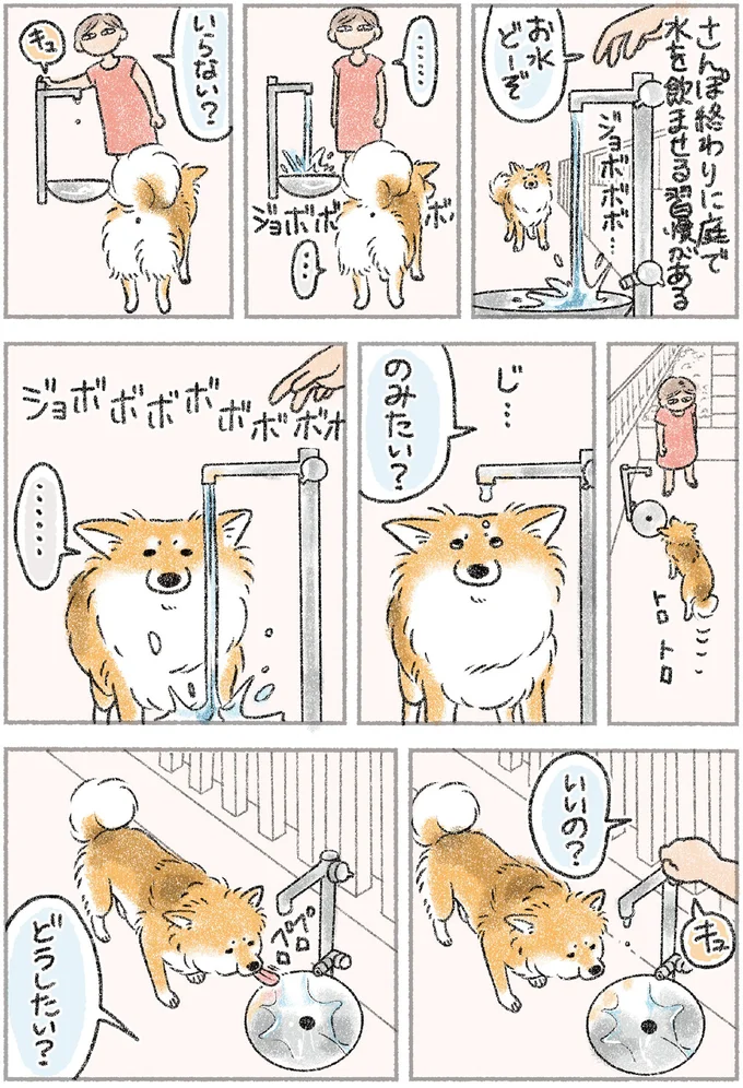 「...（無視）」名前を呼んでも反応しない愛犬。振り向かせる「一言」／犬を揉む 1.png