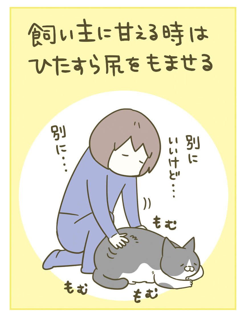 思ったように甘えてくれない猫。なぜ、「それ」に甘えるのか...／うちの猫がまた変なことしてる。3 11.jpg