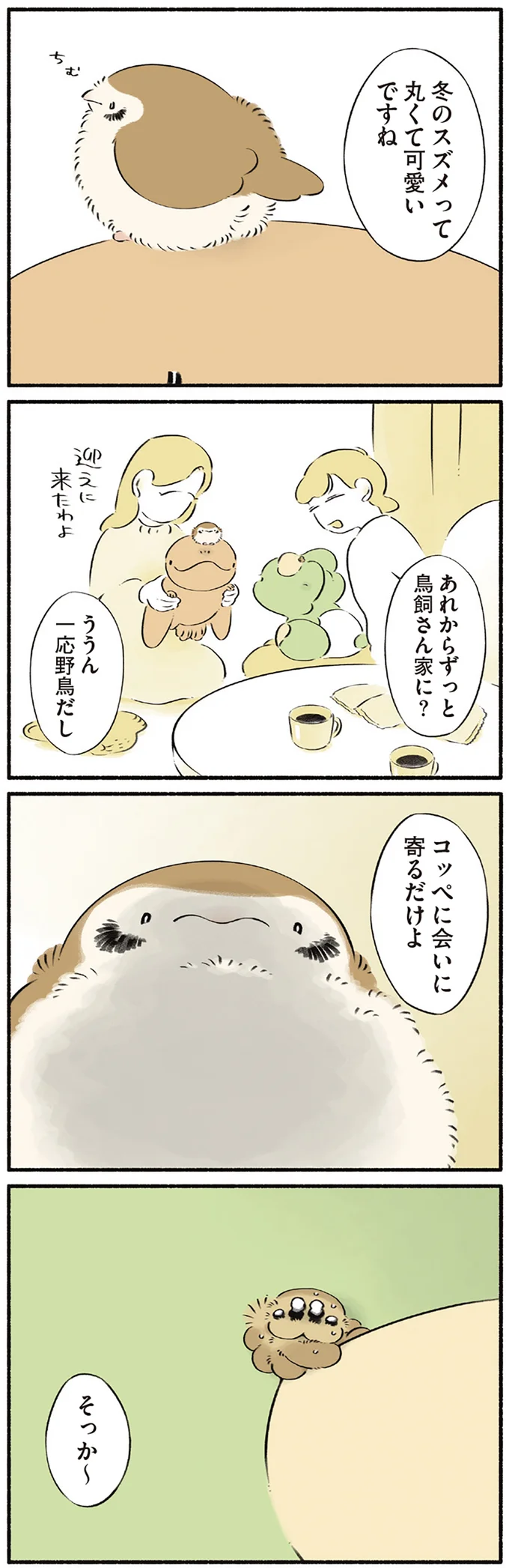 何にもない日...なのに、恐竜たちがいるだけでこんなにも愛おしい！／恐竜はじめました４ 15551247.webp