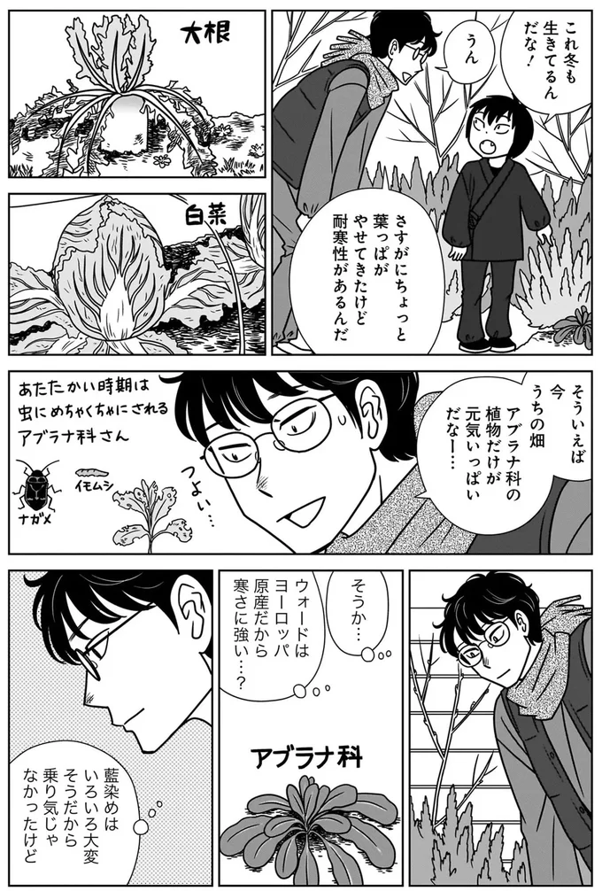 大学で染色学を教える青年。学生向けに藍染めの実験をやらない理由とは／ねこまた印の染物屋さん 15650371.webp