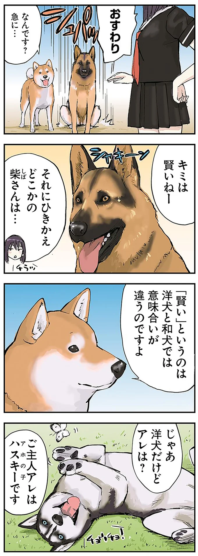 柴犬の「賢さ」は洋犬と意味合いが違う？ なんという屁理屈...／世界の終わりに柴犬と 2.png