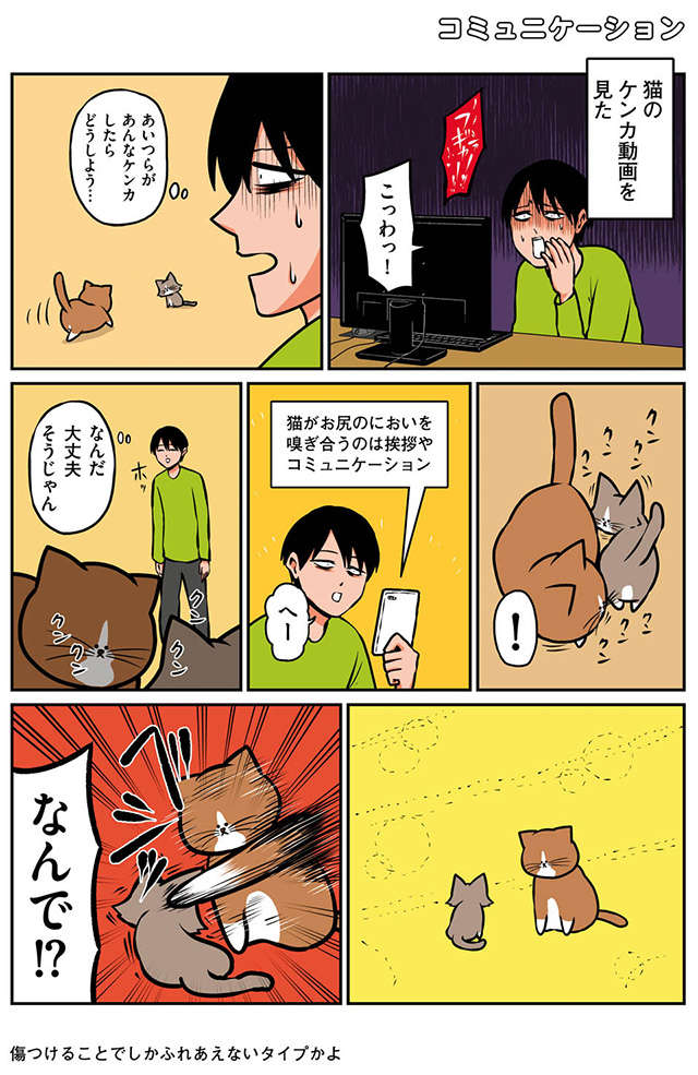 子猫と先住猫のファーストコンタクト。「実は子猫に優しい」は...／鴻池剛と猫のぽんた ニャアアアン! 2 11.jpg