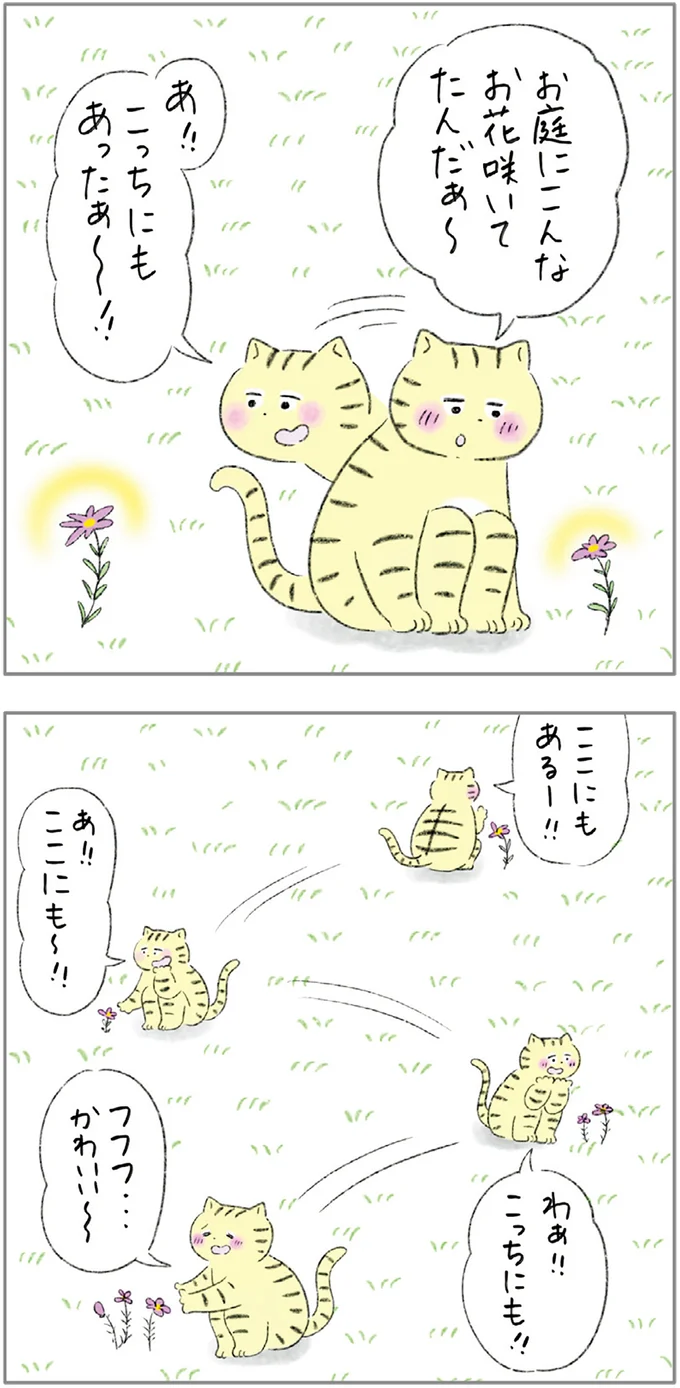 『ターとアグのしあわせ日和 元ノラ猫と元保護犬、ふたりは親友』 04-04.png