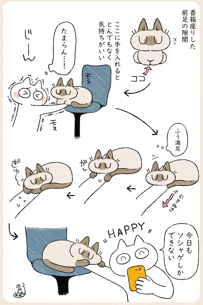 猫の「ココ」に手を入れるととんでもなく気持ちいい！ たまらん...！／シャム猫あずきさんは世界の中心 03-01.png