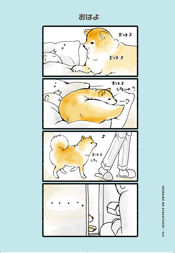 おはよ から おかえり もふる あそぶ なでれ しばいぬのあたちたち 3 毎日が発見ネット Goo ニュース