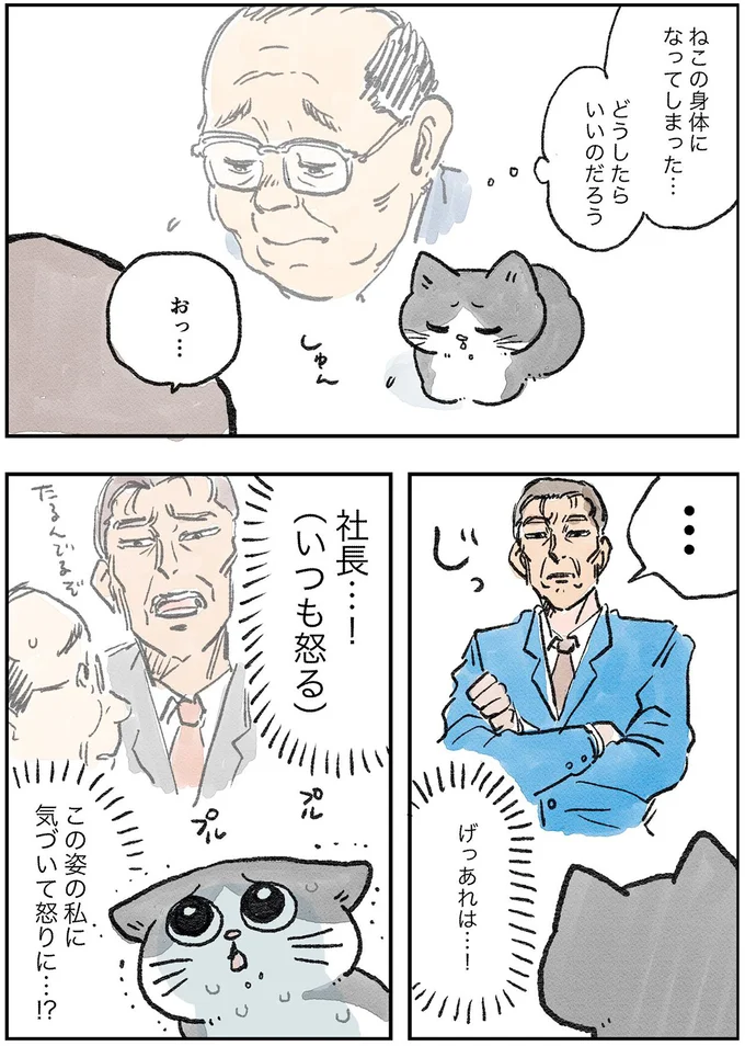 なぜ私が猫に⁉でも、体も軽いしみんな親切だから悪くないかも／ねこに転生したおじさん1 15.webp