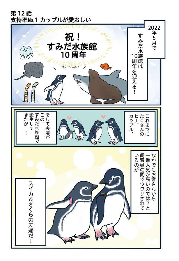 SNSで人気の「ペンギン関係マンガ」 密かに愛を育んだ「美男美女カップル」の生活とは？ 88支持率No.1カップルが愛おしい「下町ペンギン物語」第十二話1.jpg