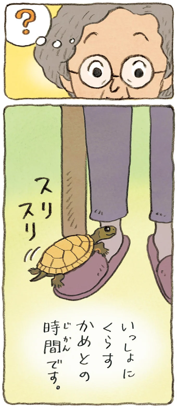 一人暮らしのおばあちゃんの幸せは「読書」、「クッキー」、そして「かめ」／おばあちゃんとかめ 01-04.webp