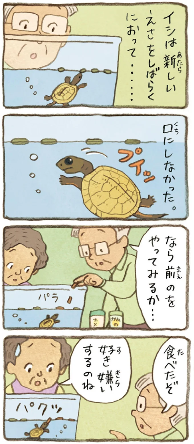 おばあちゃんとかめ 何げに楽しい2匹とのくらし 08-06.webp