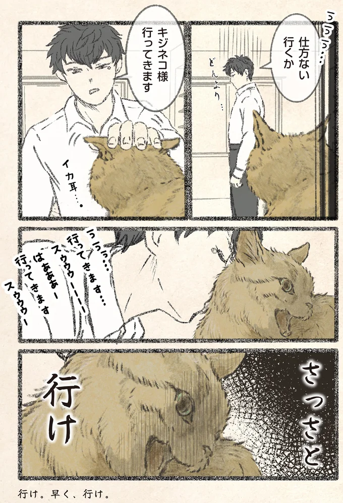 『今日もネコ様の圧が強い2』 12.webp